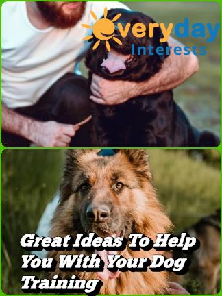 Great Ideas To Help You With Your Dog Training Great Ideas To Help You With Your Dog Training
