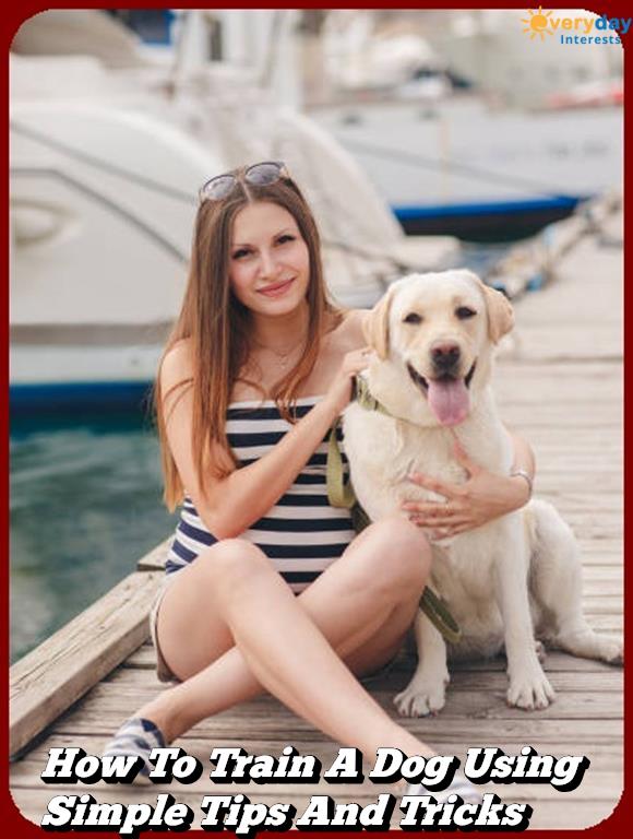 How To Train A Dog Using Simple Tips And Tricks How To Train A Dog Using Simple Tips And Tricks