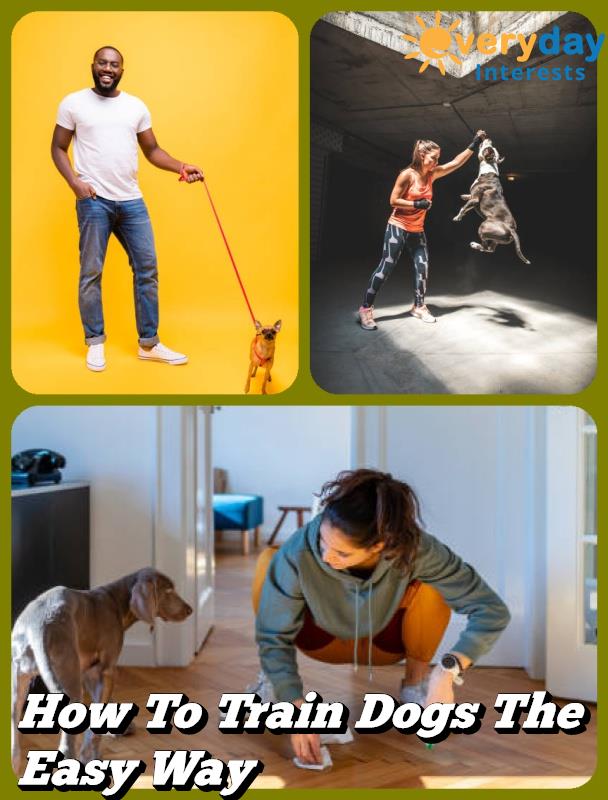 How To Train Dogs The Easy Way 1 How To Train Dogs The Easy Way