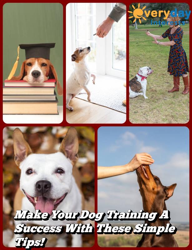 Make Your Dog Training A Success With These Simple Tips! Make Your Dog Training A Success With These Simple Tips!