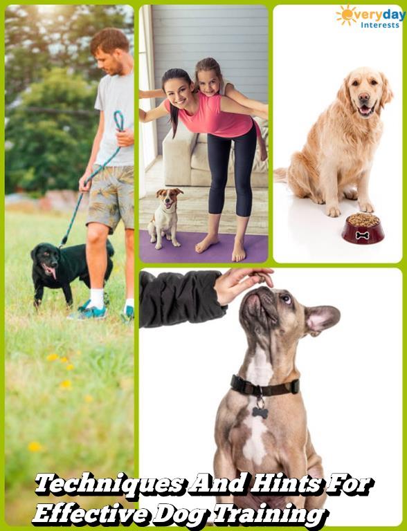 Techniques And Hints For Effective Dog Training Techniques And Hints For Effective Dog Training