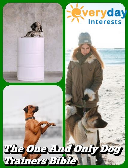 The One And Only Dog Trainers Bible The One And Only Dog Trainers Bible