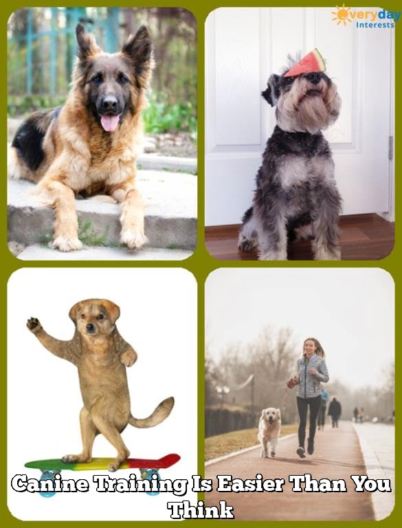 Canine Training Is Easier Than You Think Canine Training Is Easier Than You Think