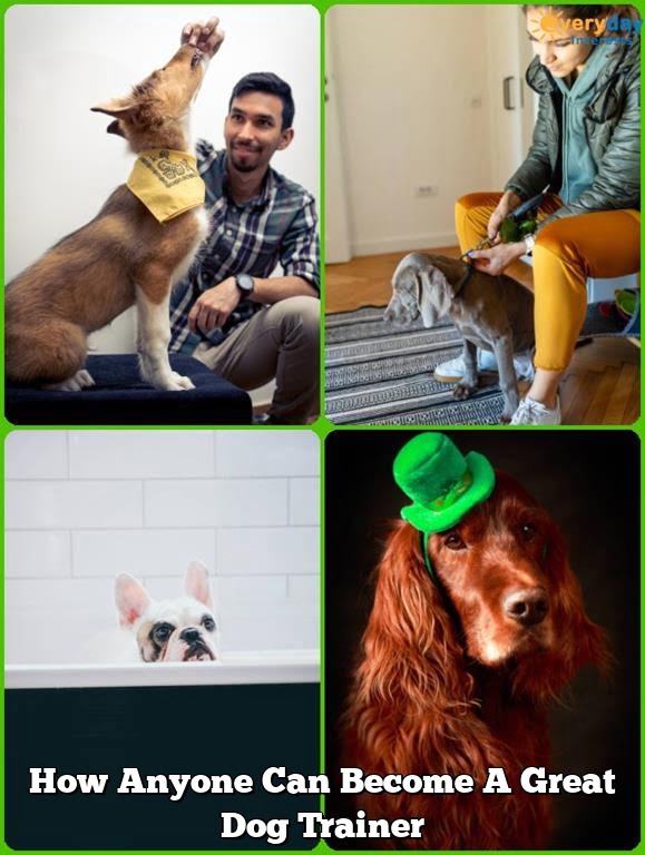 How Anyone Can Become A Great Dog Trainer How Anyone Can Become A Great Dog Trainer