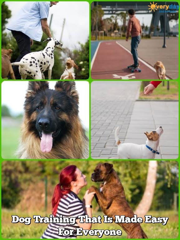 Dog Training That Is Made Easy For Everyone Dog Training That Is Made Easy For Everyone