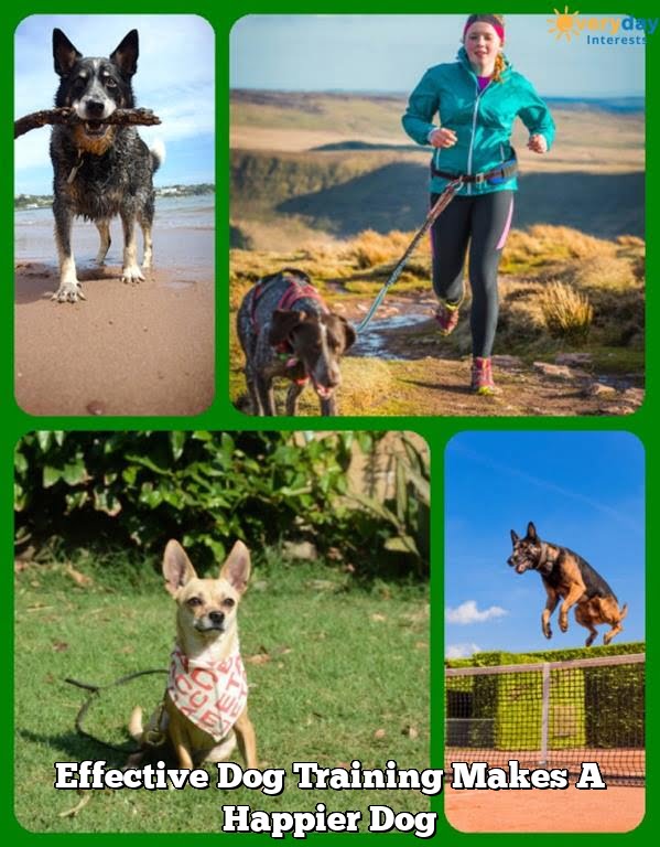 Effective Dog Training Makes A Happier Dog Effective Dog Training Makes A Happier Dog