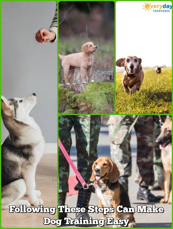 Following These Steps Can Make Dog Training Easy Following These Steps Can Make Dog Training Easy