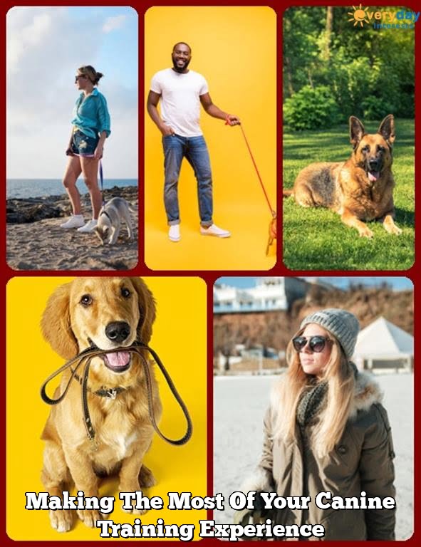 Making The Most Of Your Canine Training Experience Making The Most Of Your Canine Training Experience