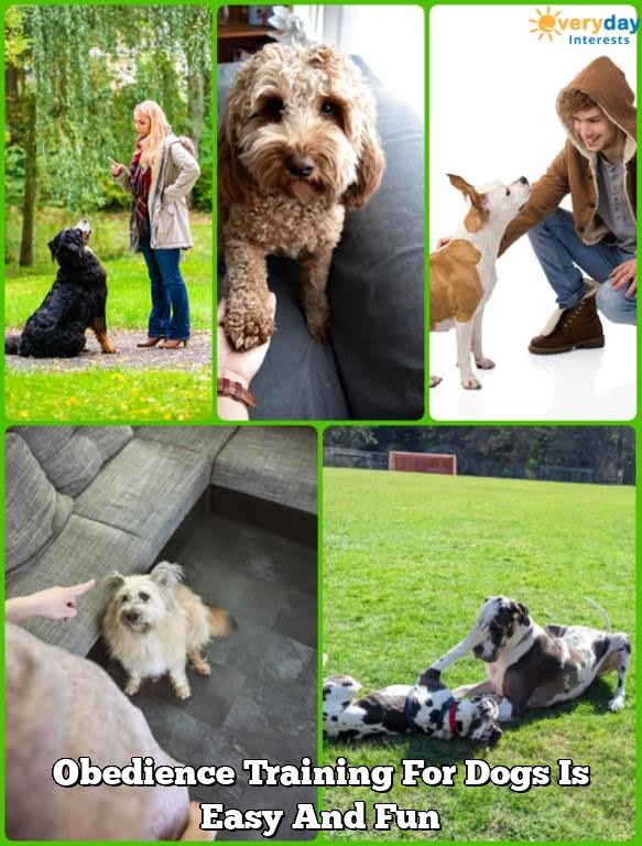 Obedience Training For Dogs Is Easy And Fun Obedience Training For Dogs Is Easy And Fun