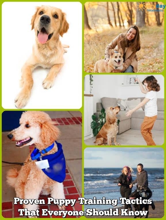 Proven Puppy Training Tactics That Everyone Should Know Proven Puppy Training Tactics That Everyone Should Know