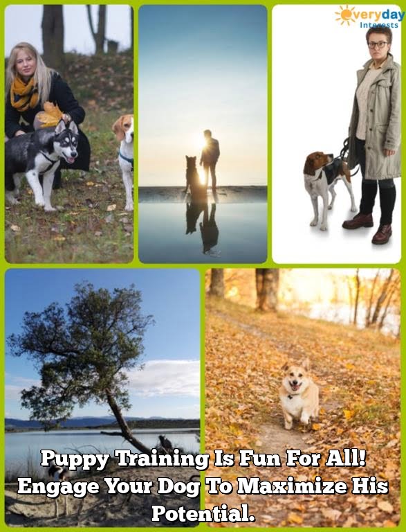 Puppy Training Is Fun For All! Engage Your Dog To Maximize His Potential. Puppy Training Is Fun For All! Engage Your Dog To Maximize His Potential.