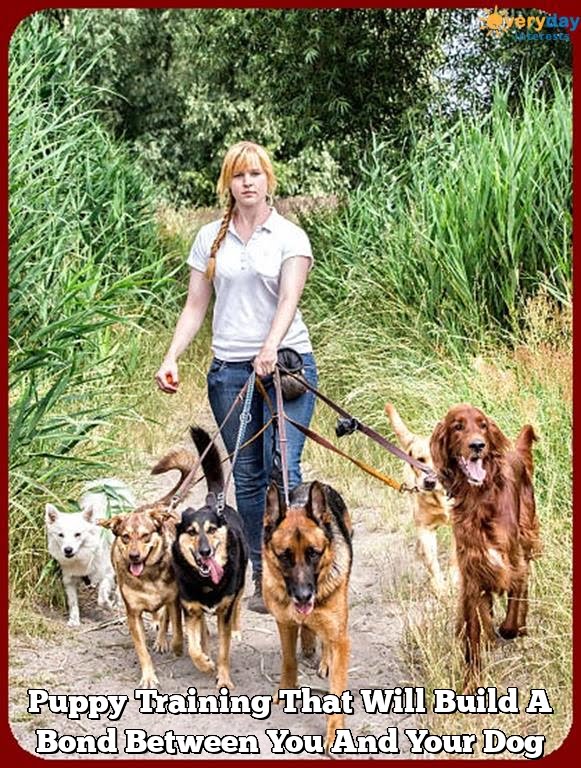 Puppy Training That Will Build A Bond Between You And Your Dog Puppy Training That Will Build A Bond Between You And Your Dog
