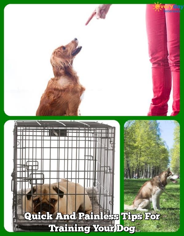 Quick And Painless Tips For Training Your Dog Quick And Painless Tips For Training Your Dog
