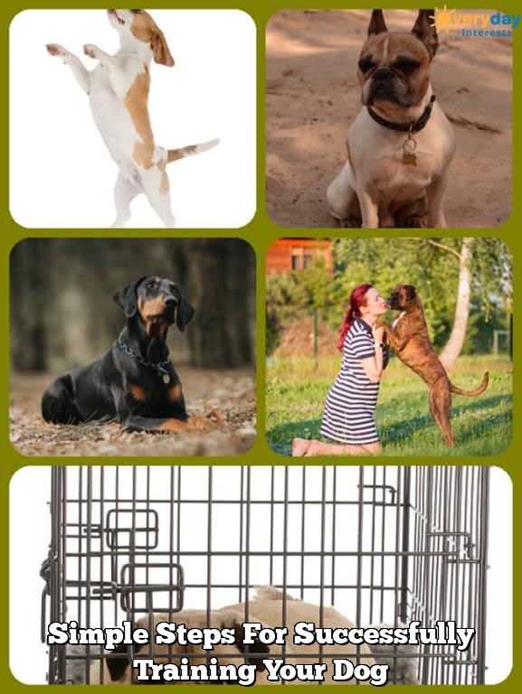 Simple Steps For Successfully Training Your Dog Simple Steps For Successfully Training Your Dog