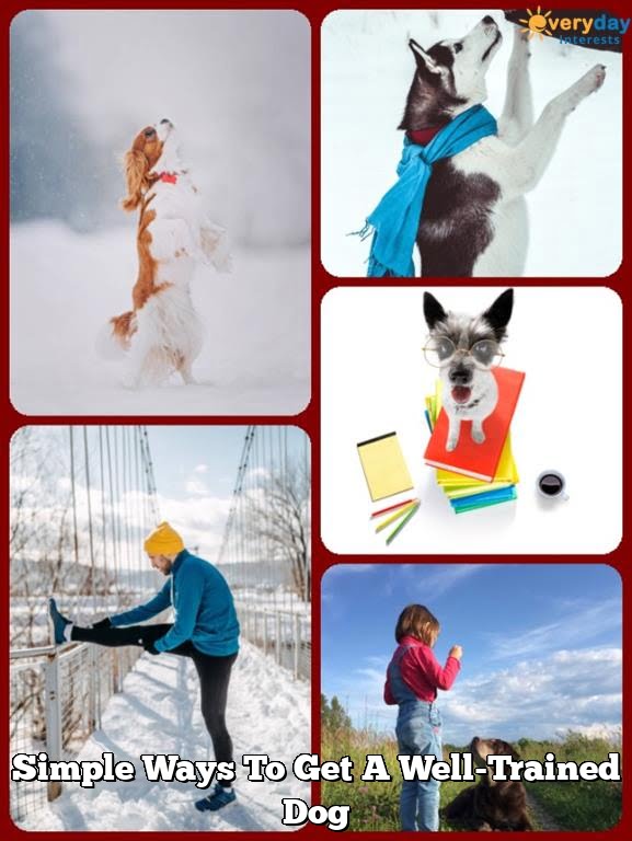 Simple Ways To Get A Well-Trained Dog
