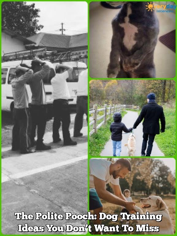 The Polite Pooch: Dog Training Ideas You Don’t Want To Miss