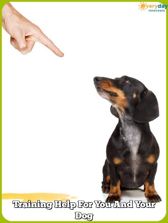 Training Help For You And Your Dog