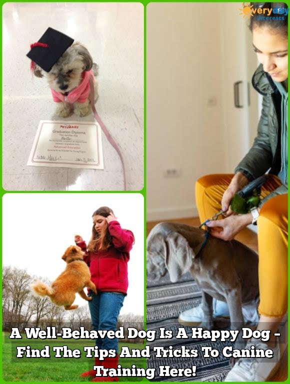 A Well-Behaved Dog Is A Happy Dog - Find The Tips And Tricks To Canine Training Here! A Well-Behaved Dog Is A Happy Dog – Find The Tips And Tricks To Canine Training Here!