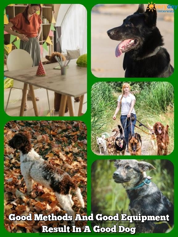 Good Methods And Good Equipment Result In A Good Dog Good Methods And Good Equipment Result In A Good Dog