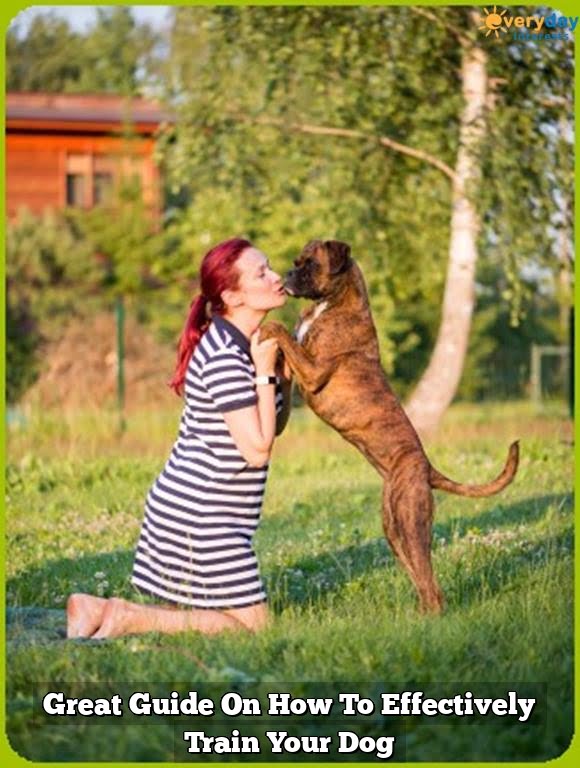 Great Guide On How To Effectively Train Your Dog 1 Great Guide On How To Effectively Train Your Dog