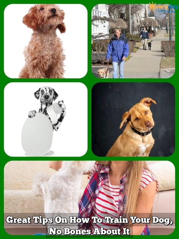 Great Tips On How To Train Your Dog, No Bones About It