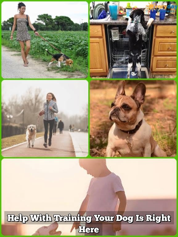 Help With Training Your Dog Is Right Here 1 Help With Training Your Dog Is Right Here