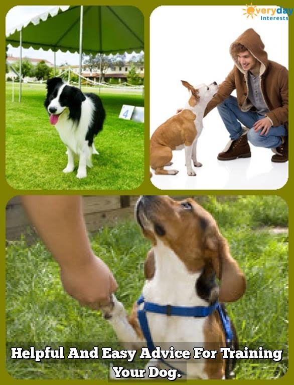 Helpful And Easy Advice For Training Your Dog. 1 Helpful And Easy Advice For Training Your Dog.
