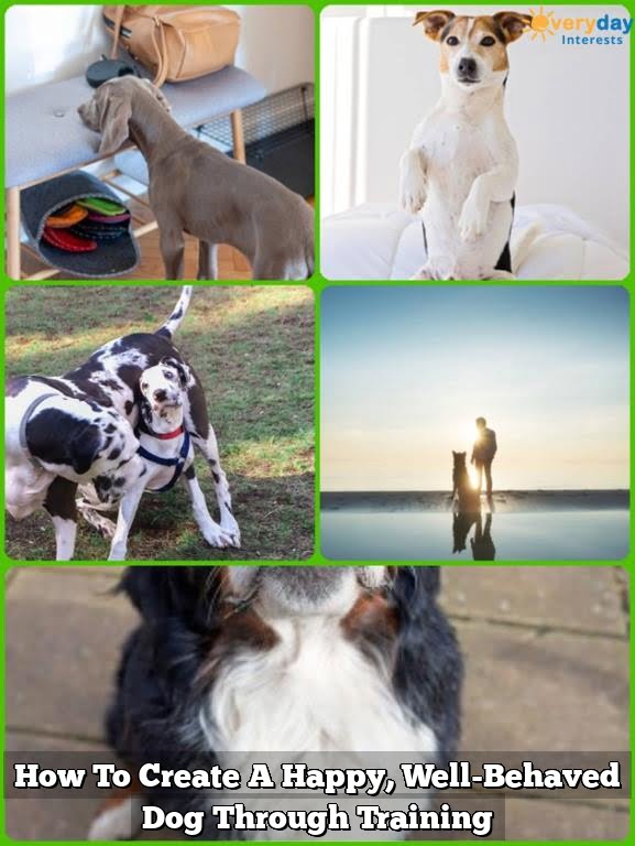 How To Create A Happy, Well-Behaved Dog Through Training How To Create A Happy, Well-Behaved Dog Through Training