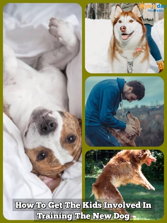 How To Get The Kids Involved In Training The New Dog How To Get The Kids Involved In Training The New Dog