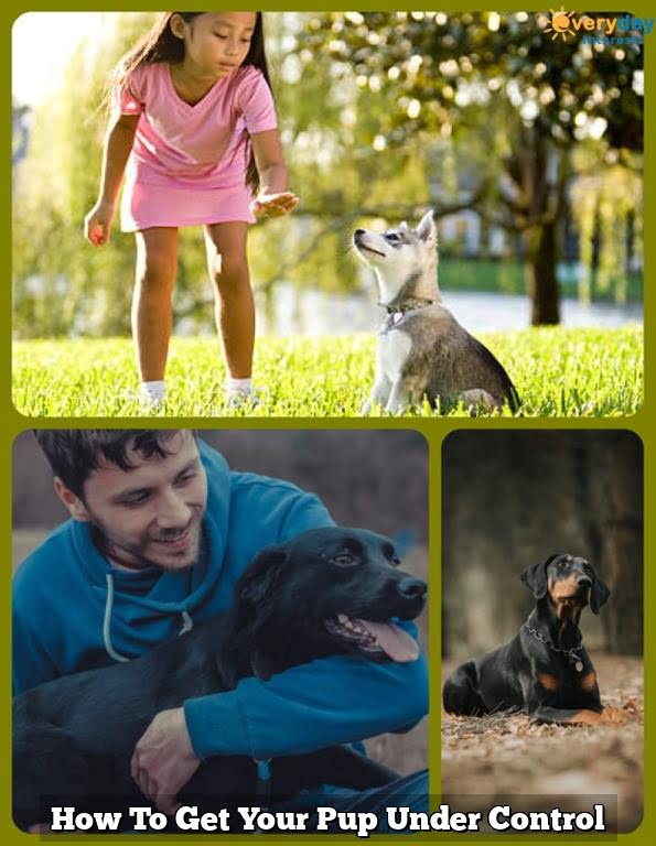 pup control