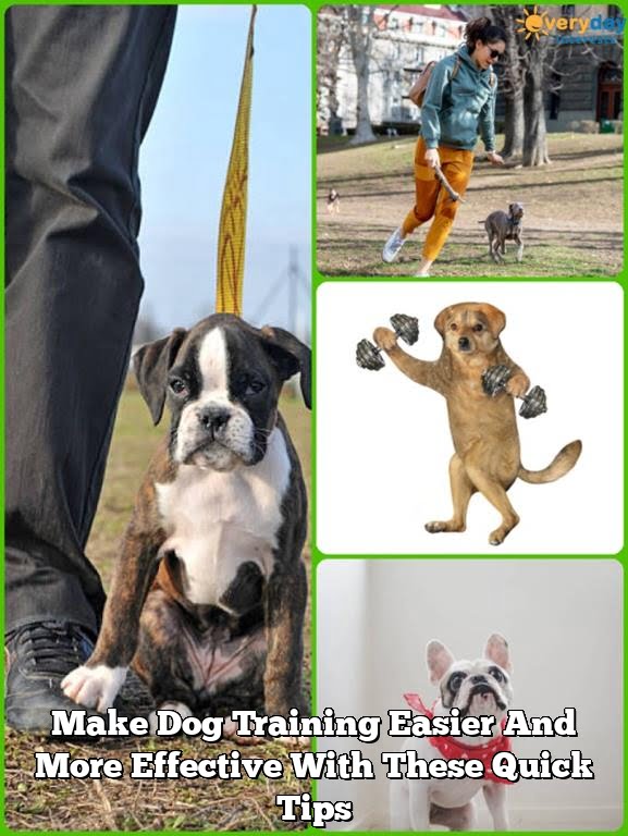 Make Dog Training Easier And More Effective With These Quick Tips Make Dog Training Easier And More Effective With These Quick Tips