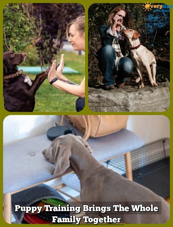 Puppy Training Brings The Whole Family Together