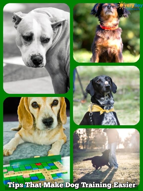 Tips That Make Dog Training Easier 1 Tips That Make Dog Training Easier