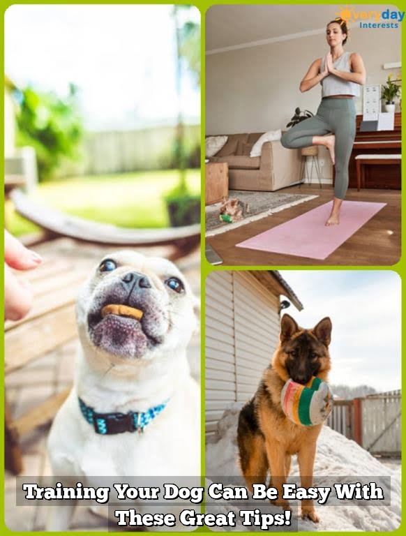 Training Your Dog Can Be Easy With These Great Tips! Training Your Dog Can Be Easy With These Great Tips!