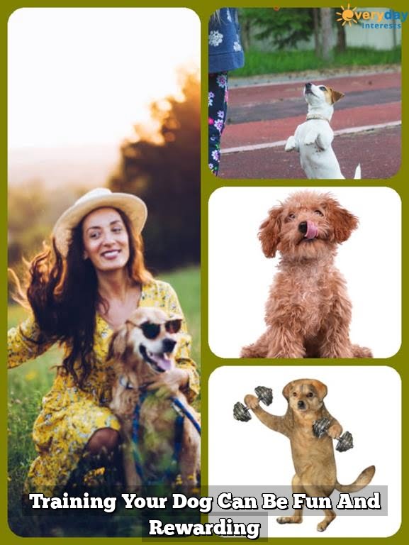 Training Your Dog Can Be Fun And Rewarding