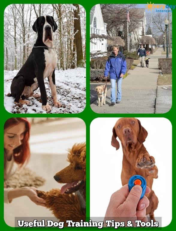 Useful Dog Training Tips & Tools Useful Dog Training Tips & Tools