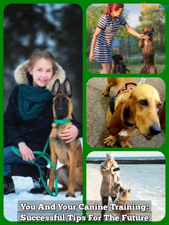 You And Your Canine Training: Successful Tips For The Future 1 You And Your Canine Training: Successful Tips For The Future