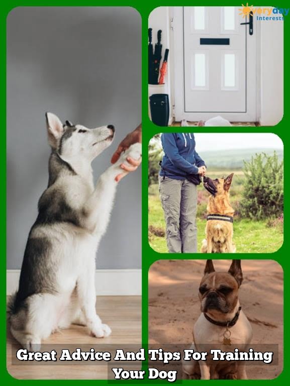 Great Advice And Tips For Training Your Dog Great Advice And Tips For Training Your Dog