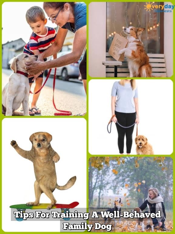 Tips For Training A Well-Behaved Family Dog