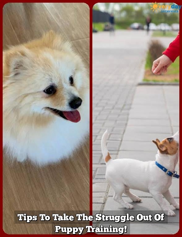 Tips To Take The Struggle Out Of Puppy Training! Tips To Take The Struggle Out Of Puppy Training!