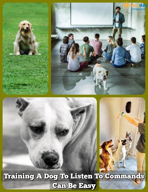 Training A Dog To Listen To Commands Can Be Easy Training A Dog To Listen To Commands Can Be Easy