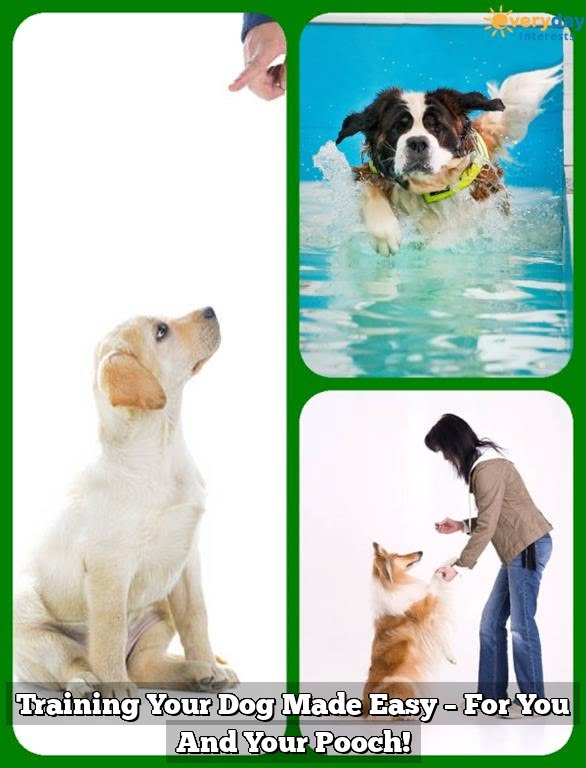Training Your Dog Made Easy - For You And Your Pooch! 1 Training Your Dog Made Easy – For You And Your Pooch!