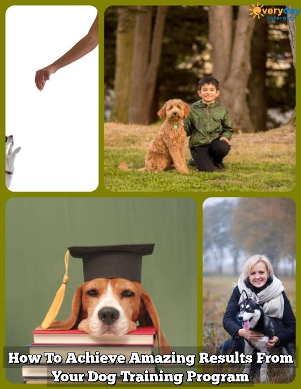 How To Achieve Amazing Results From Your Dog Training Program