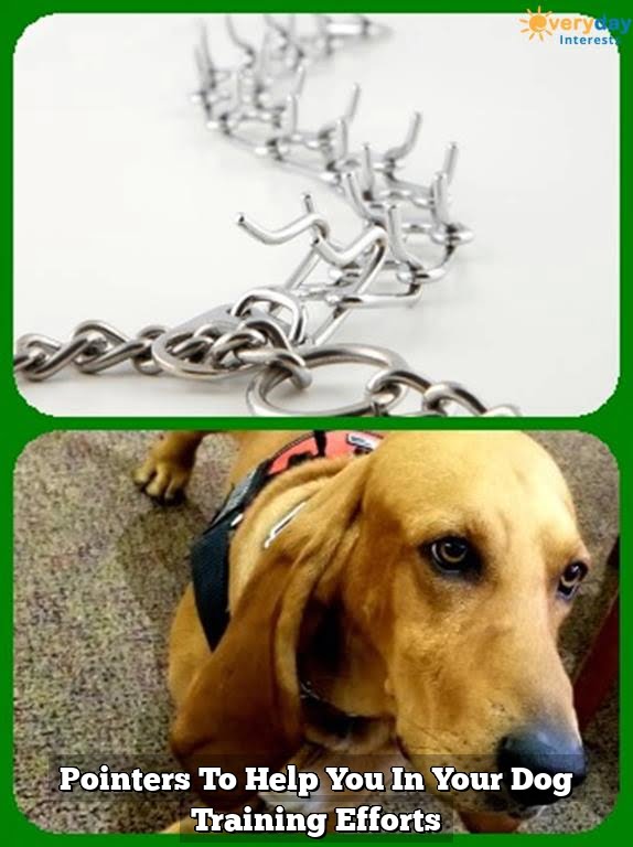 Pointers To Help You In Your Dog Training Efforts 9 Pointers To Help You In Your Dog Training Efforts
