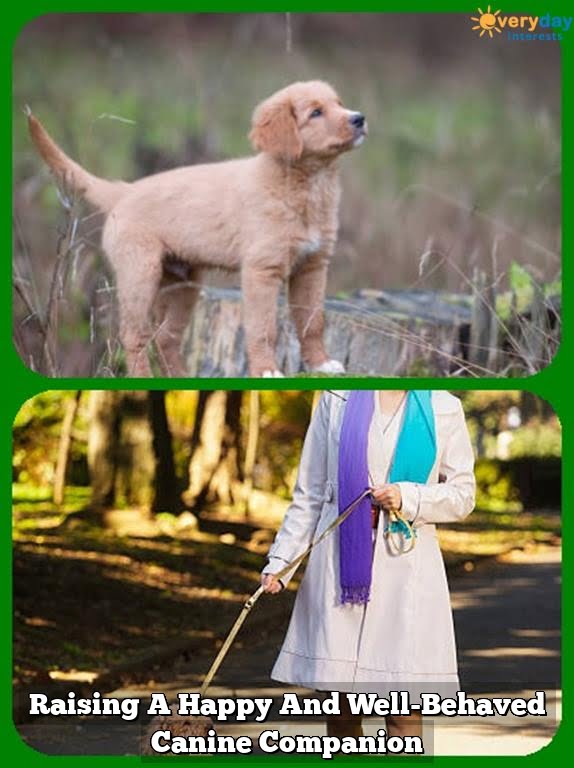 Raising A Happy And Well-Behaved Canine Companion Raising A Happy And Well-Behaved Canine Companion