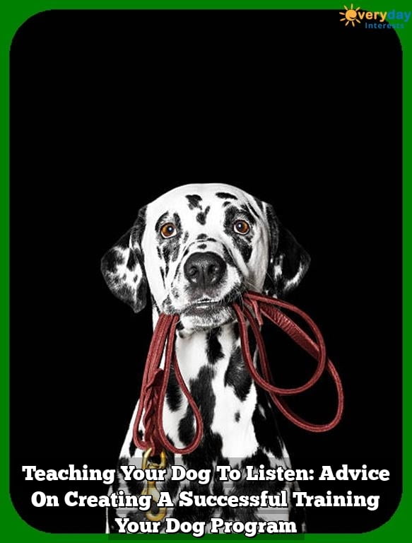Teaching Your Dog To Listen: Advice On Creating A Successful Training Your Dog Program 1 Teaching Your Dog To Listen:  Advice On Creating A Successful Training Your Dog Program