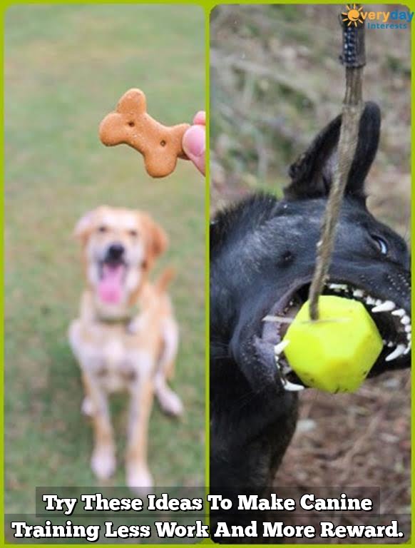 Try These Ideas To Make Canine Training Less Work And More Reward. Try These Ideas To Make Canine Training Less Work And More Reward.
