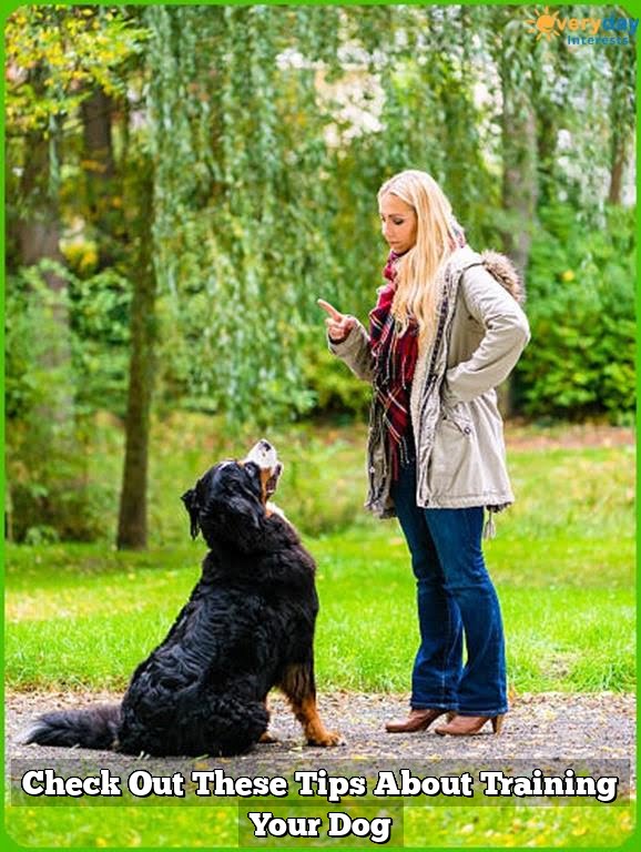 Check Out These Tips About Training Your Dog Check Out These Tips About Training Your Dog