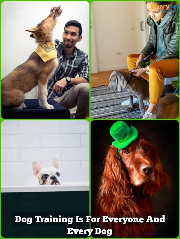 Dog Training Is For Everyone And Every Dog Dog Training Is For Everyone And Every Dog