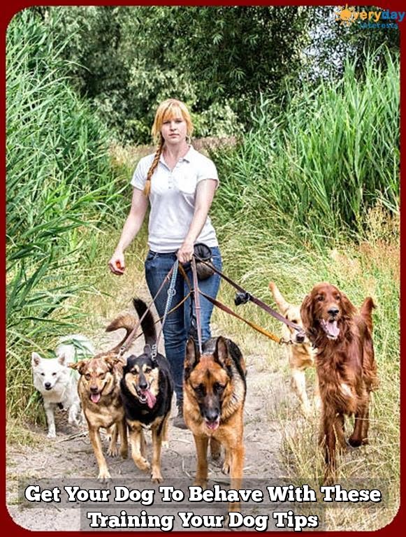 Get Your Dog To Behave With These Training Your Dog Tips Get Your Dog To Behave With These Training Your Dog Tips